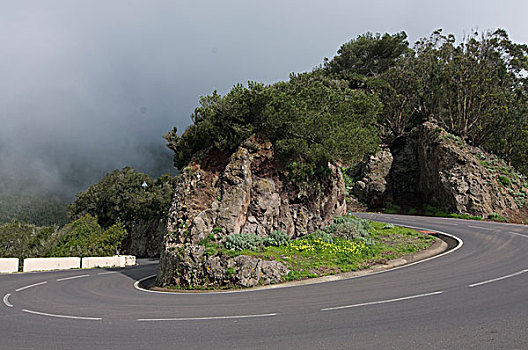 弯路,通过,山,特内里费岛,加纳利群岛,西班牙