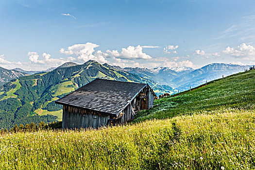 阿尔卑斯草甸,正面,小屋,提洛尔,奥地利,欧洲