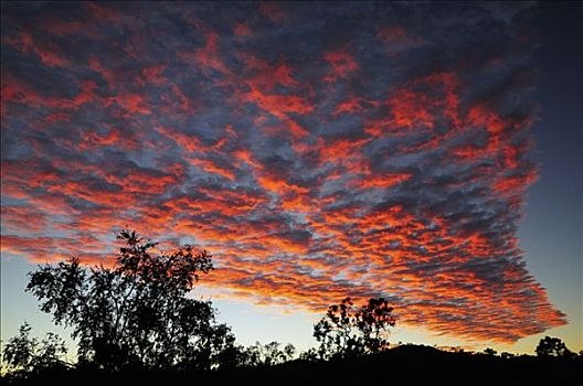 日出,金伯利,西澳大利亚