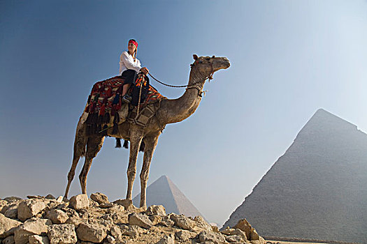 女青年,游客,骆驼,吉萨金字塔,开罗,埃及,非洲