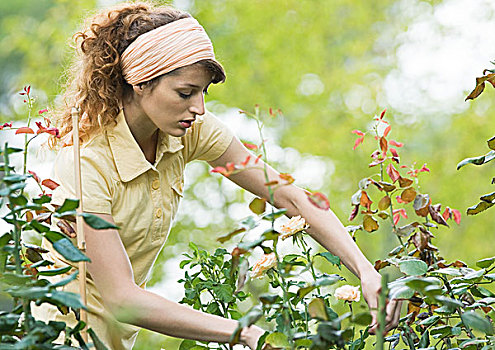 女人,园艺工作