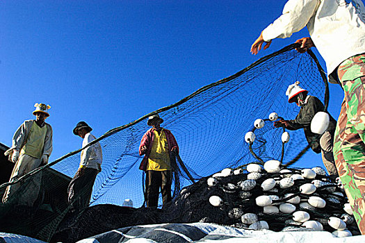渔民,准备,渔网,印度尼西亚,七月,2007年