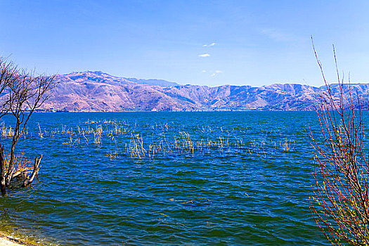 湖,风景,息州,大理,云南