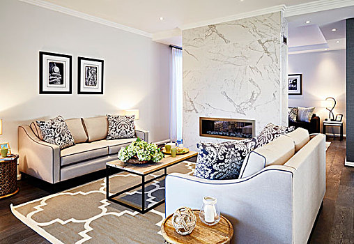 优雅,沙发,苍白,现代,茶几,地毯,大,装饰,图案,室内,壁炉,分隔,墙壁