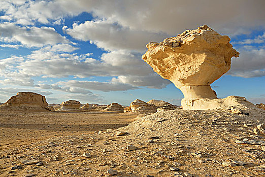 石灰石,石头,排列,白沙漠,费拉菲拉,绿洲,利比亚沙漠,西部,撒哈拉沙漠,埃及,非洲