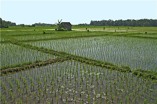 文化,风景