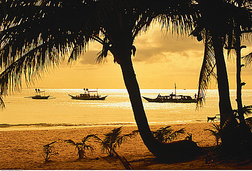 船,棕榈树,日落,长滩岛,菲律宾