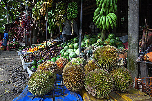 水果摊,榴莲,香蕉,甜瓜,中央省,斯里兰卡,亚洲
