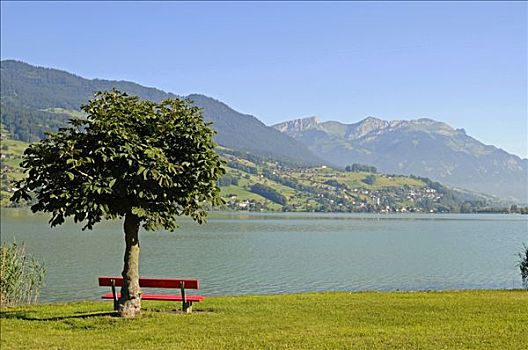 长椅,树,河边,风景,山峦,湖,瑞士,欧洲