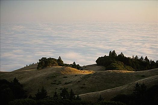 俯拍,云,山,州立公园,加利福尼亚,美国