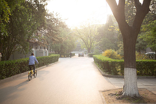 北京大学校内环境和风景