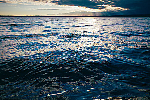 日落,上方,水,普吉特湾,黄昏
