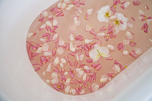 浴缸,粉红玫瑰,花瓣