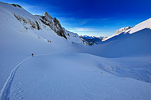 滑雪道,越野滑雪者,吐根堡,瑞士,欧洲