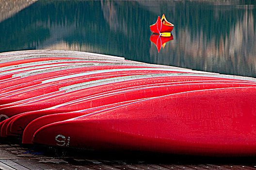 红色,独木舟,湖岸,路易斯湖,班芙国家公园,艾伯塔省,加拿大