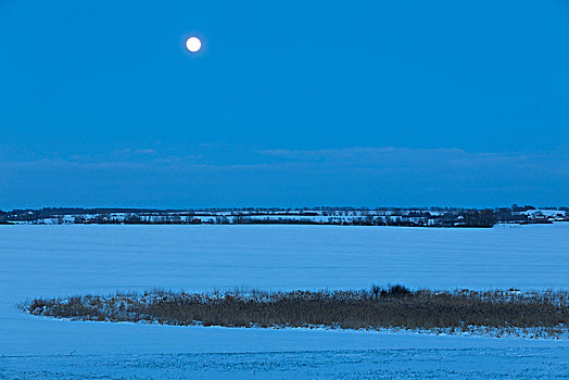 德国,梅克伦堡州,冬季风景,靠近,夜晚,满月