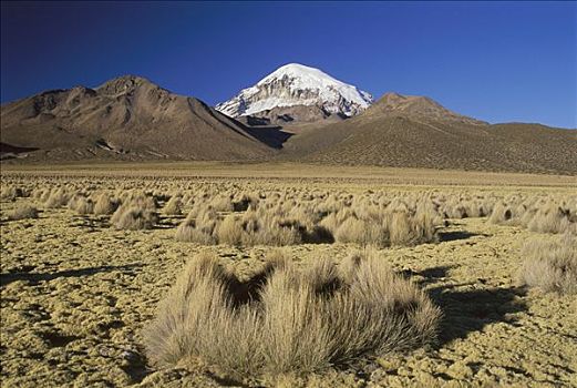 内华达,顶峰,风景,山谷,国家公园,玻利维亚