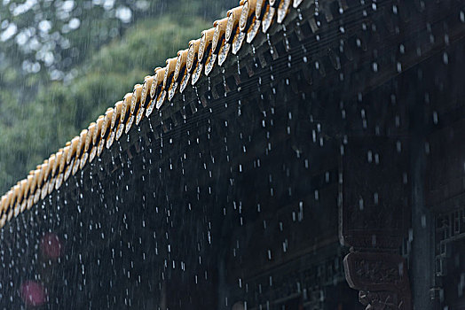 屋檐,雨线,大雨,文澜阁,杭州