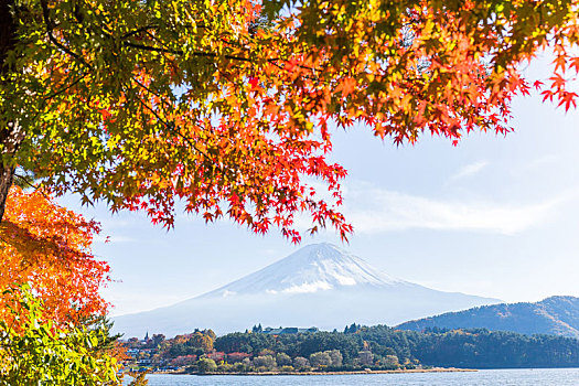 湖,富士山,秋天