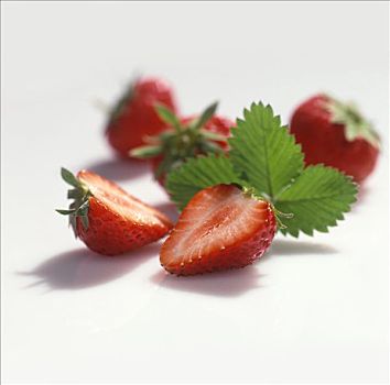 草莓,叶子
