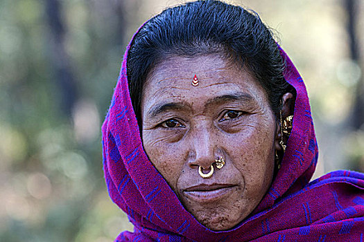 尼泊尔人,女人,耳饰,鼻子穿刺,头像,尼泊尔,亚洲
