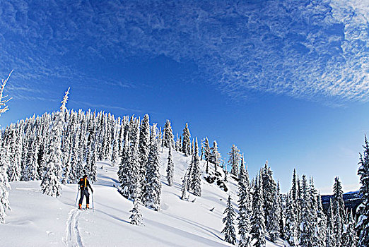 边远地区,滑雪,波纹,库特尼,不列颠哥伦比亚省,加拿大
