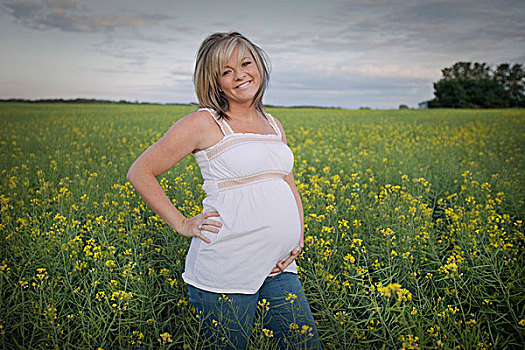 孕妇,站立,野花,艾伯塔省,加拿大