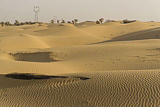 新疆沙漠风光