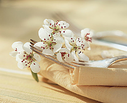 叉子,花,餐巾