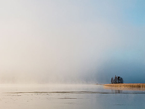 雾气,湖,地平线,黎明,芬兰