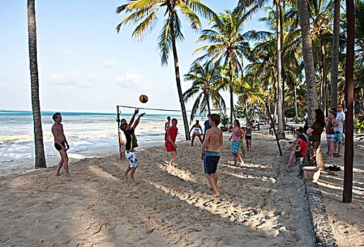 年轻,人,玩,海滩,排球,桑给巴尔岛,坦桑尼亚,非洲