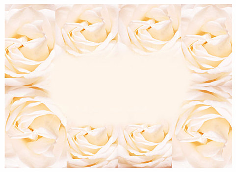 玫瑰,框,盛开,花,旧式,背景,淡色调,软,卡