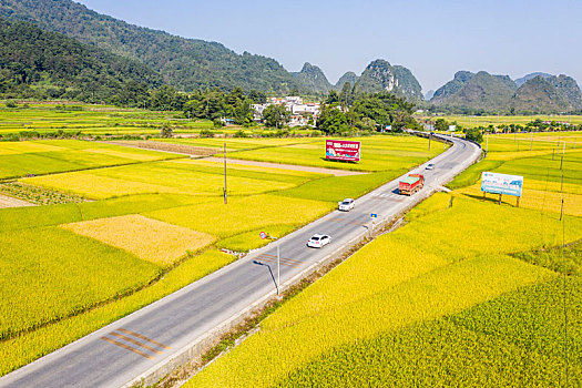 金秋田园公路