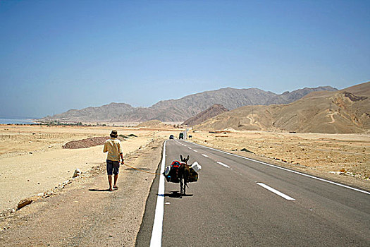 沙漠公路,红海,区域,西奈,埃及