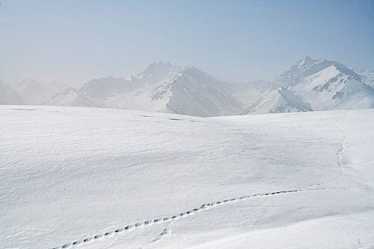 冬季草原雪山