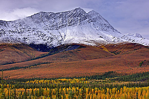 北美,美国,阿拉斯加,布鲁克斯山,山景