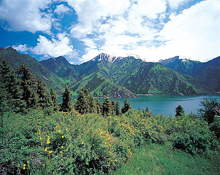 湖,新疆