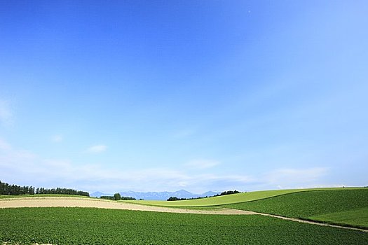 道路,拼合