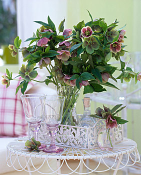 嚏根草属,菟葵,玻璃花瓶,金属,托盘