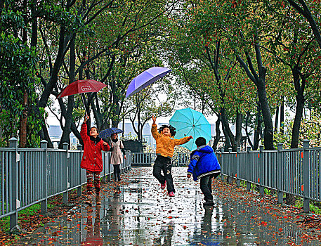 春雨,道路,伞,雨中,孩子