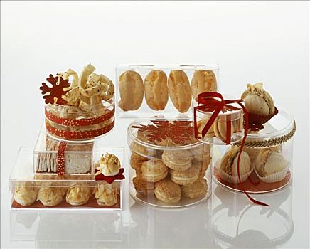 种类,圣诞饼干,清晰,饼干盒