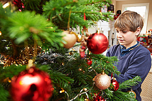 男孩,装饰,圣诞树