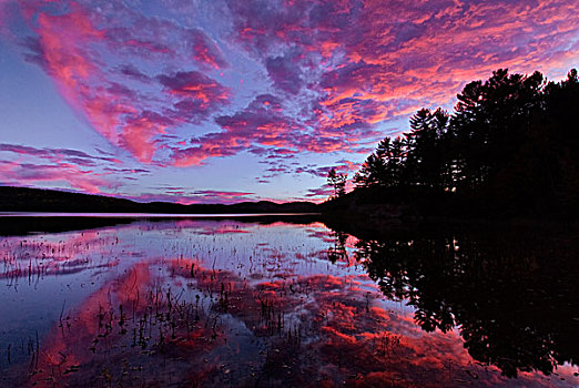 日落,湖,阿尔冈金省立公园,安大略省,加拿大