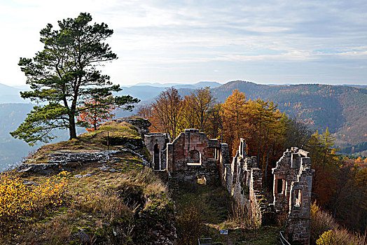 遗址,城堡,秋天,莱茵兰普法尔茨州,德国,欧洲
