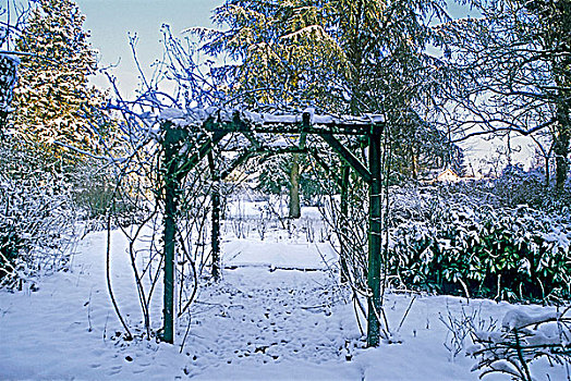 私人花园,冬天