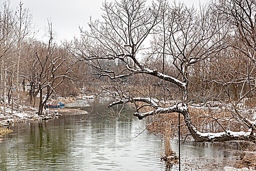 公园,河流,雪景