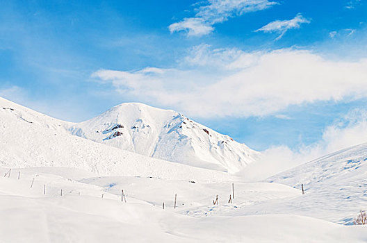 雪,山,鲜明,冬天,白天