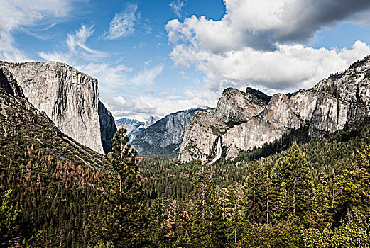 风景,树,落基山脉,优胜美地国家公园,加利福尼亚,美国