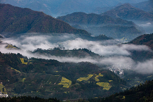 石潭,云海,安徽,山沟,油菜花,风光,壮观,气候,环境,仙境,诱惑,秀美,俯瞰,村庄