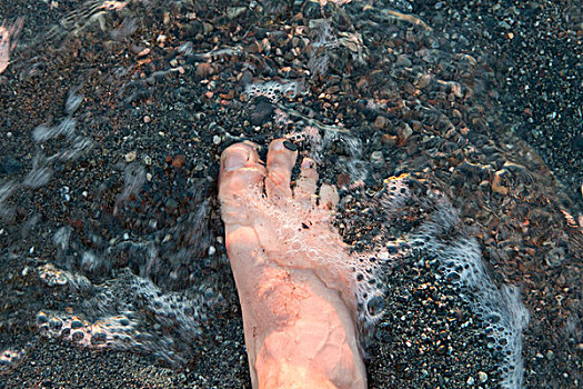 脚部,水中,海滩,鲑鱼,河,格罗莫讷国家公园,纽芬兰,拉布拉多犬,加拿大